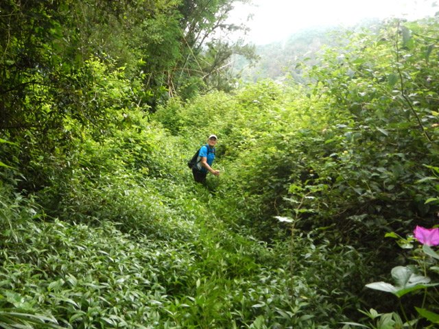 Ce qu'est devenu ce pauvre sentier de Mathurin