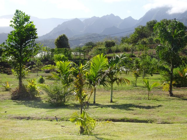 Il faudra du temps pour donner à ce parc l'aspect du premier
