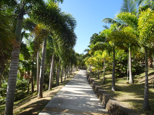 Prendre l'une des allées pour flâner dans ce magnifique parc
