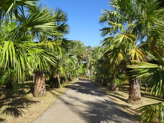 Promenade instructive si l'on prend le temps de lire les étiquettes