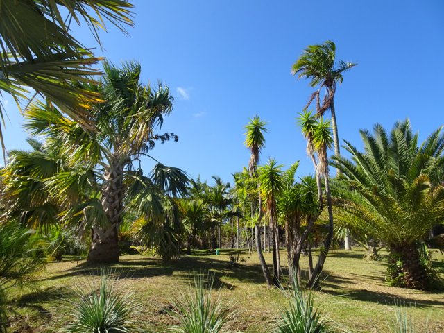 On peut avoir 10 variétés différentes sous les yeux