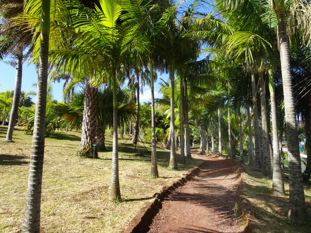 Beaux chemins créés pour rallonger la visite