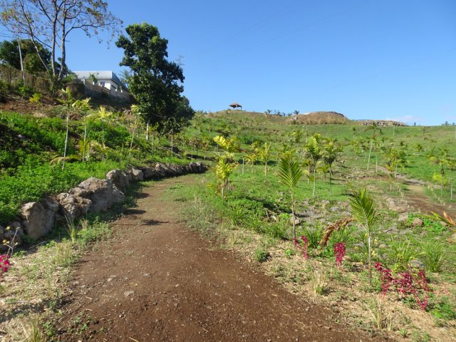 Des sentiers aménagés entre les pistes