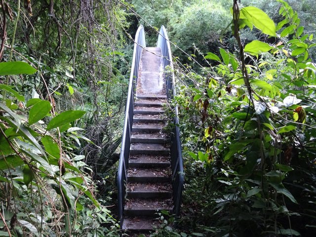 Arrivée à la passerelle qu'on traverse