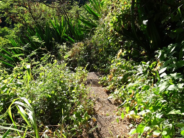La descente vers la passerelle, mi sentier, mi escalier