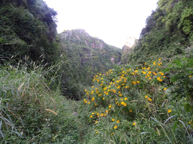 Le sentier à l'approche de la fin de la montée