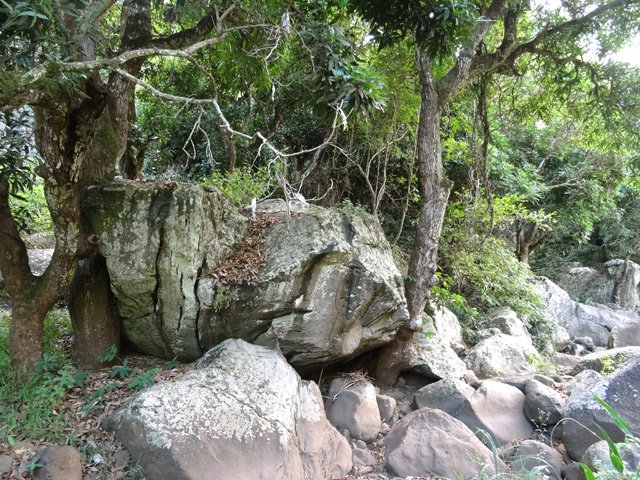 Premier gros rocher entre deux manguiers