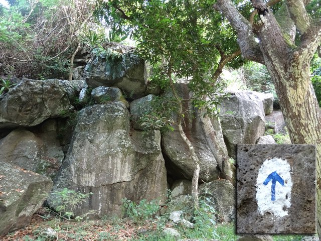 Zone d'entraînement à l'escalade