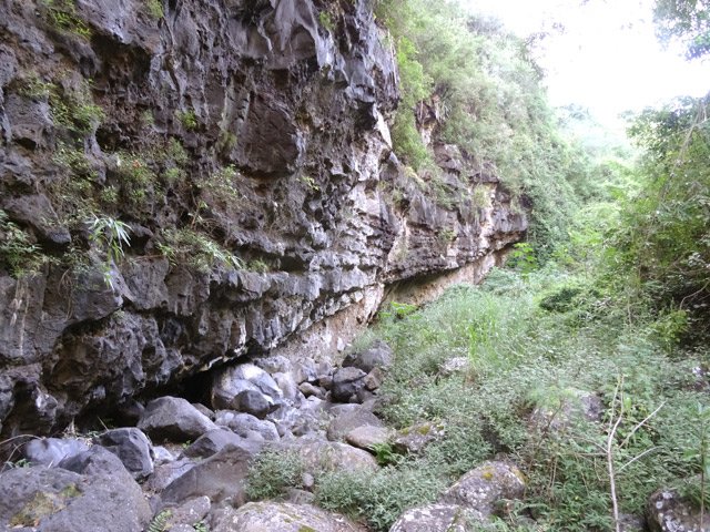 Falaise verticale en rive droite