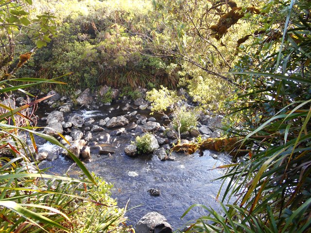 On traverse 4 rivières plus ou moins importantes durant le trajet