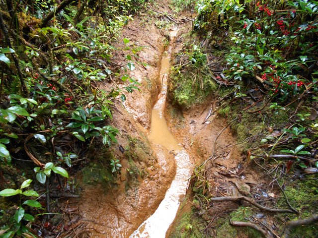 Le sentier, usé par les passages et l'eau, fait souvent moins de 12 cm