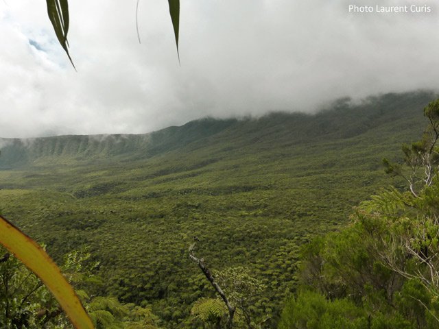 La Plaine des Lianes vue depuis le Col