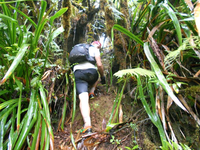Au début, le sentier est large et bien visible