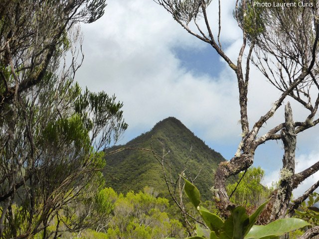 Le Pic des Lianes vu du col avant la descente