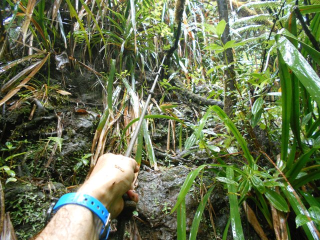 Attention, les cordes ne se voient qu'au dernier moment