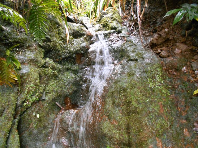 La ravine sert longtemps de sentier. Préférer les périodes sèches