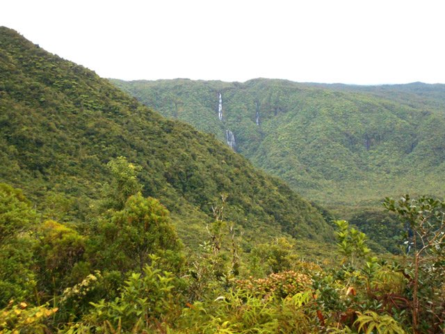 Au loin, une cascade du Bras des Lianes, proche des sources
