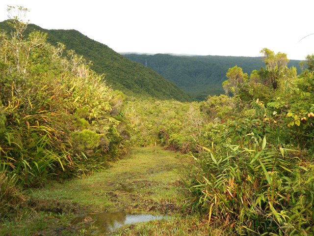 Fin de la piste. Début du sentier boueux