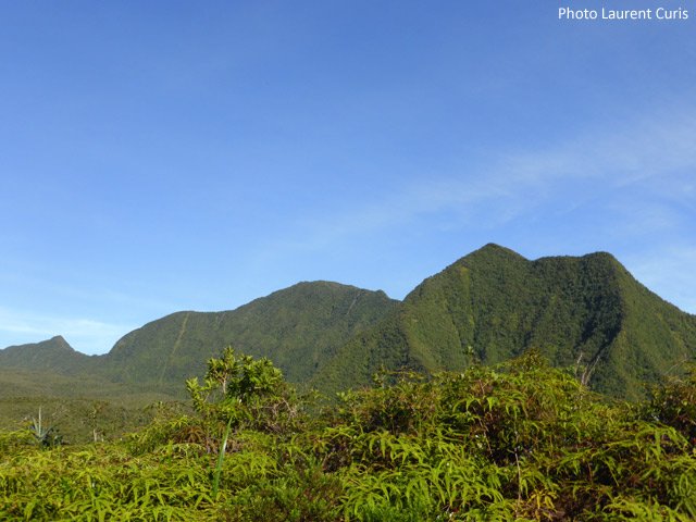 Le petit cirque caractéristique du Morne du Bras des Lianes et le col à atteindre à gauche