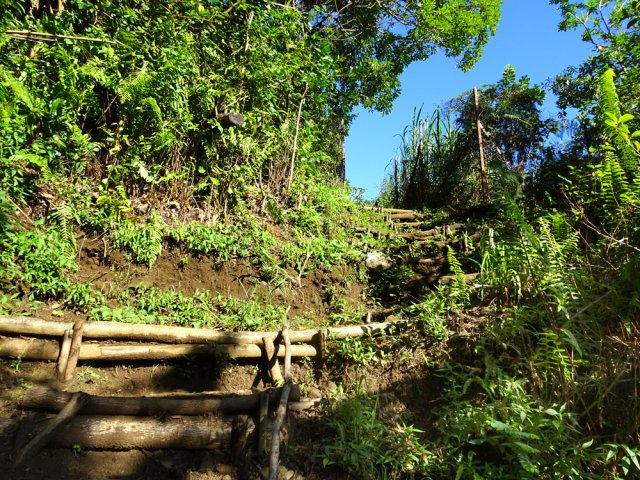 Dès la fin du grillage, la plongée débute