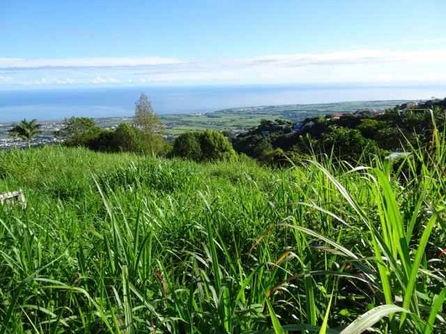 La vallée de la Ravine Sèche qu'on traversera en totalité