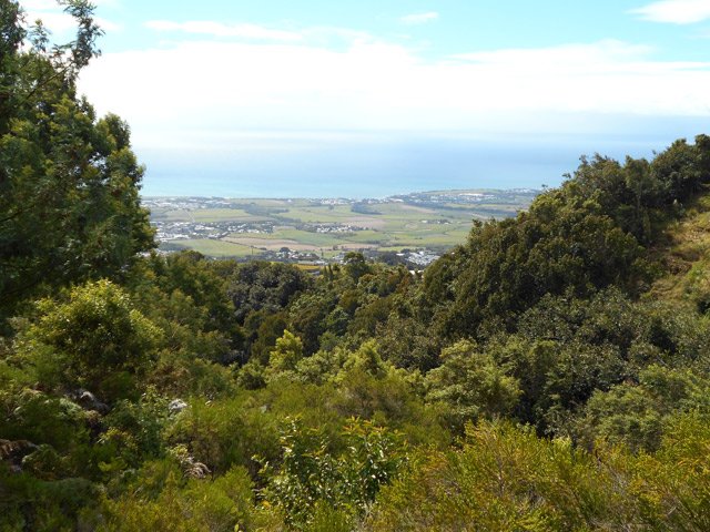 Quelques trouées permettent de voir l'océan