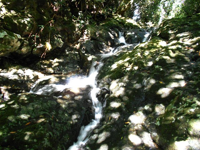 Quelques beaux petits endroits le long de la ravine glissante