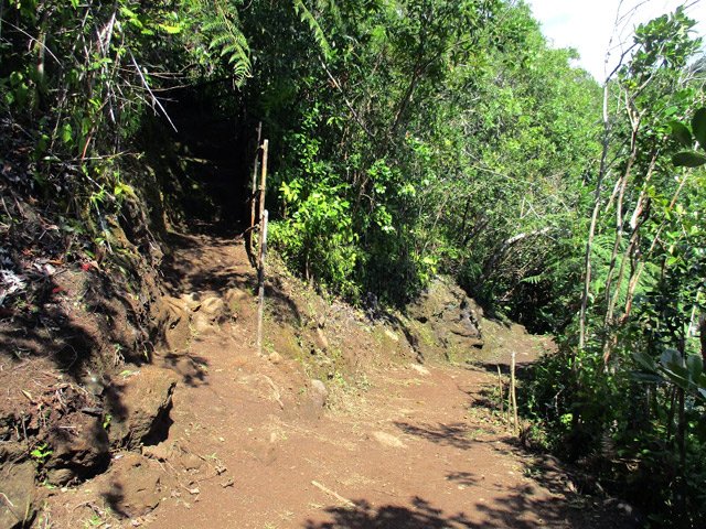 Le croisement des deux sentiers de la boucle