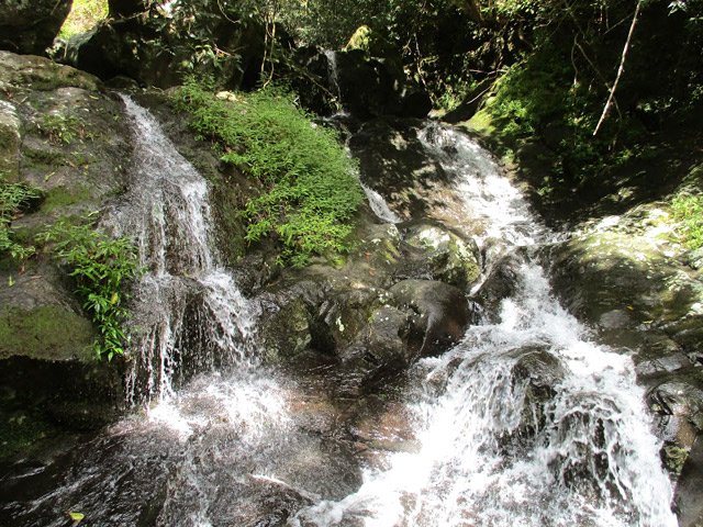 Traversée de la Ravine Mère Canal et ses petites chutes