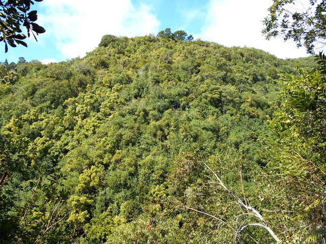 Une idée de la pente pour atteindre la Confiance