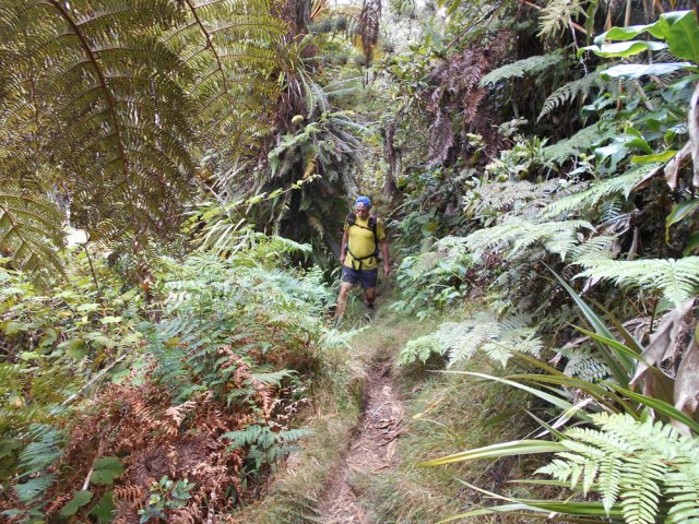 Le sentier, plus étroit que vers le rempart, est tout de même facile à suivre