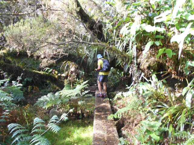 Quelques poutres grillagées isolent de la boue