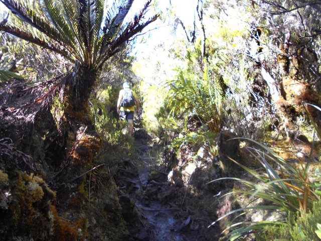 Une portion assez boueuse