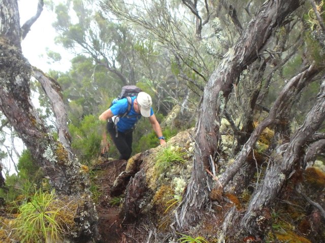 Les passages plus fréquents qu'on imagine ont créé un sentier étroit