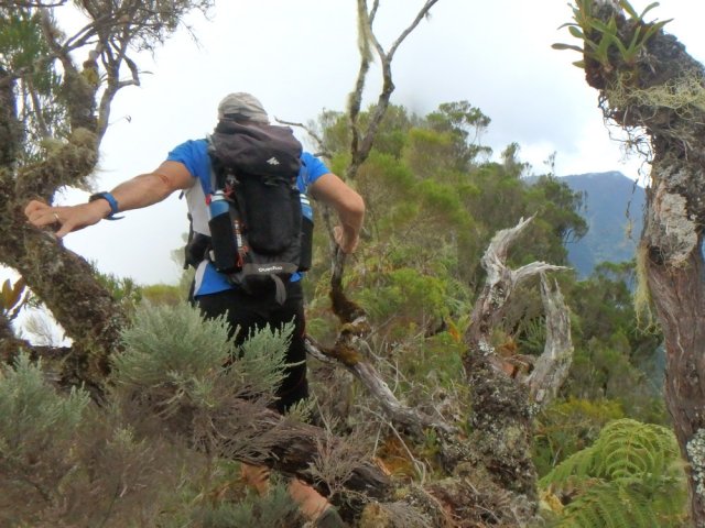 On marche le plus souvent au sommet de la crête