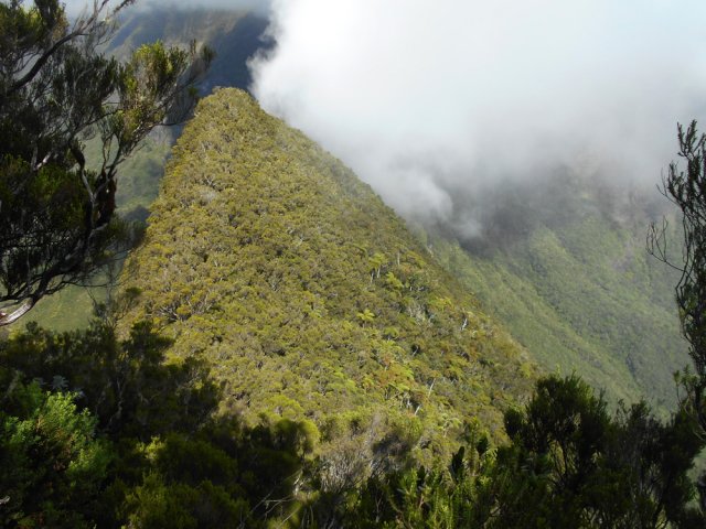 Le sommet du Piton Bénoune vu durant la descente