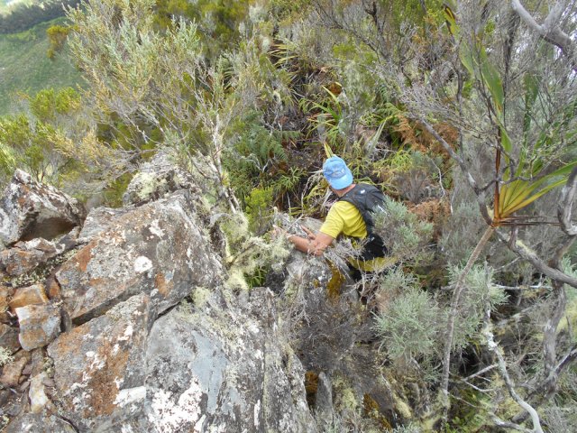 Dernière descente qui finit au pied du Piton Bénoune