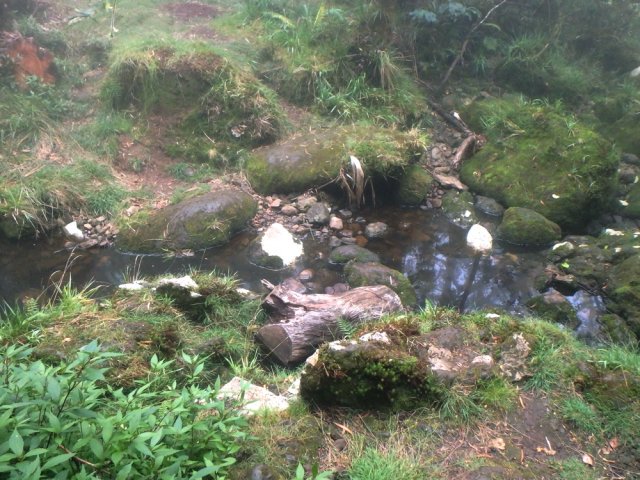 D'autres ravines ont un peu d'eau