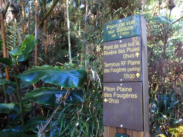 Croisement avec le sentier de bord. Prendre à gauche