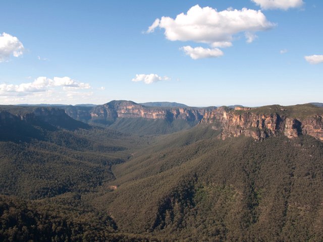 L'air est bleuté par l'essence d'eucalyptus