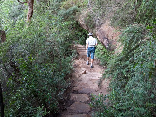 Une autre portion toute aussi facile sur plaques