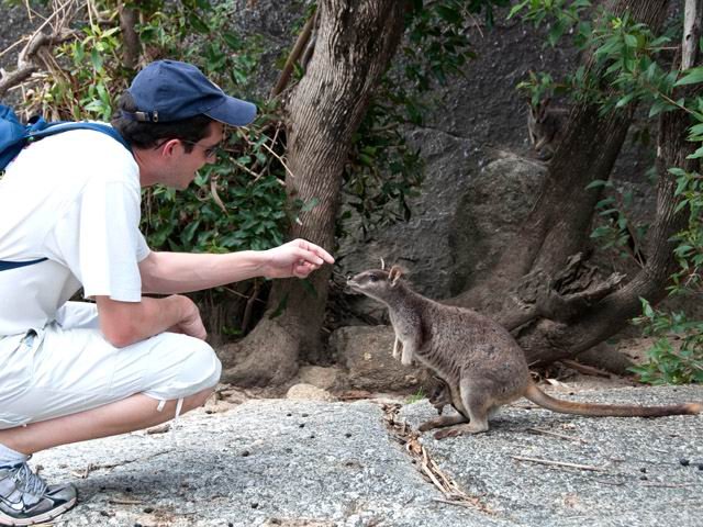 Tellement de touristes qu'on peut les caresser