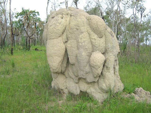Une autre, en terre plus blanche