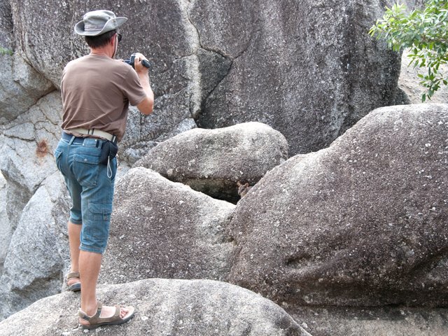 Ne pas trop bouger et ils approchent