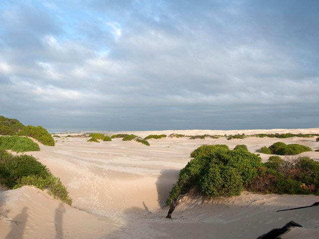 Le début de la dune, près du parking littoral à l'ouest