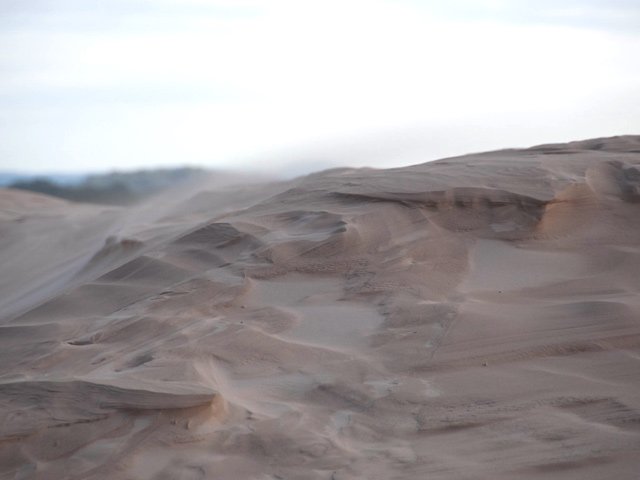 Le vent change perpétuellement la forme des dunes