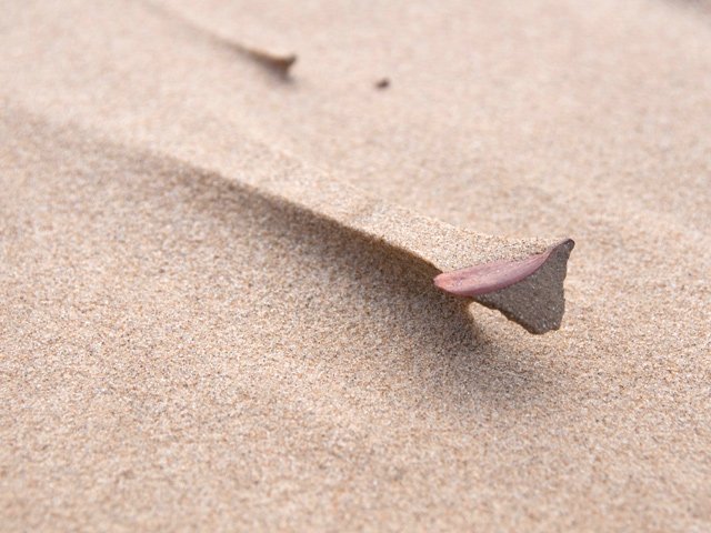 Le moindre objet est à l'origine d'une sculpture