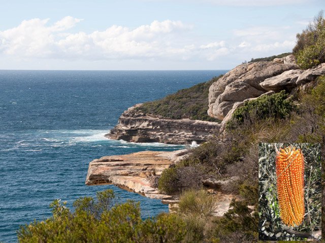 Une autre partie de la côte rocheuse