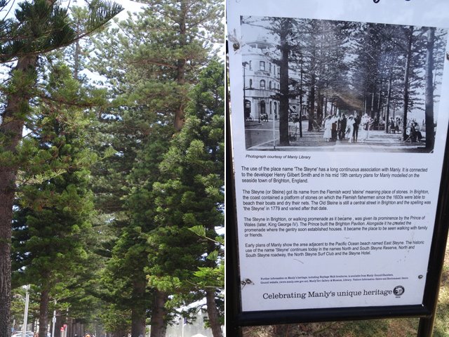 Longue balade de 4 km sous les araucarias le long de la plage de Manly