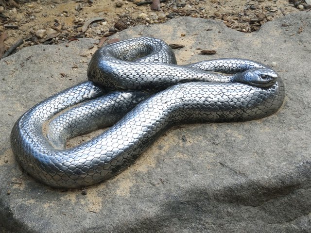 De nombreux animaux emblématiques sont fixés sur les rochers